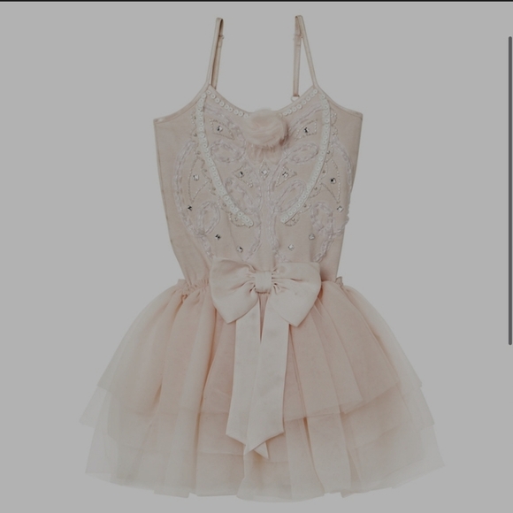 strapless open back dress Sugar Thrillz Tutu Dress With Embroidered Bust main image 1